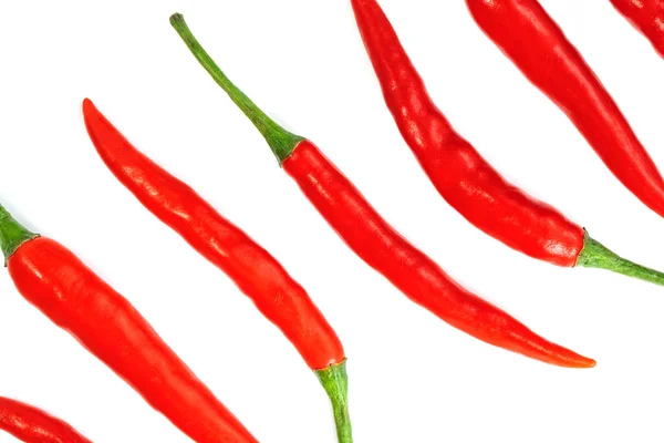 Červená Chilli Paprika Izolované Bílém Pozadí — Stock fotografie