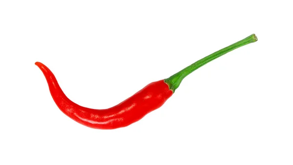 Piros Chili Paprika Elszigetelt Fehér Háttér — Stock Fotó