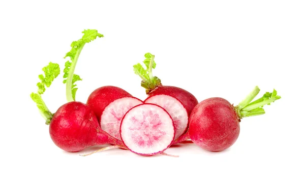 Small Red Radish Isolated White Background — Stock Photo, Image