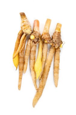 Beyaz arkaplanda parmak kökü ya da Çinlinin zencefili izole.