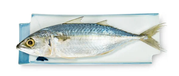 Frischer Makrelenfisch Mit Schale Isoliert Auf Weißem Hintergrund Mit Clipping — Stockfoto