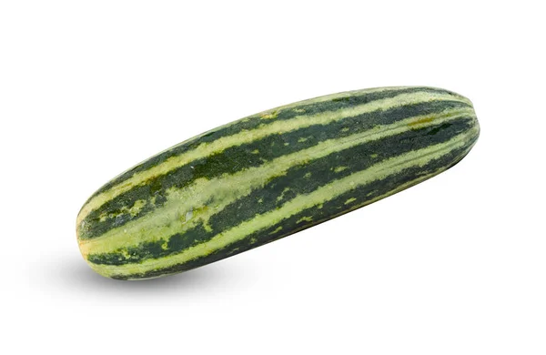 Cucumber Cucumis Melo Isolated White Background Include Clipping Path — Stock Photo, Image