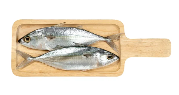 Pesce Sgombro Fresco Con Vassoio Quadrato Legno Isolato Sfondo Bianco — Foto Stock