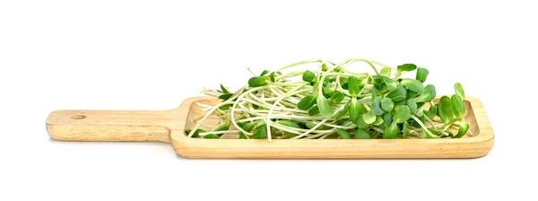 Verse Zonnebloem Sprout Met Houten Dienblad Geïsoleerd Witte Achtergrond Groene — Stockfoto