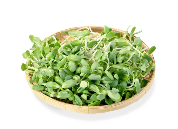 Verse Zonnebloem Sprout Mand Geïsoleerd Witte Achtergrond Groene Bladeren Patroon — Stockfoto