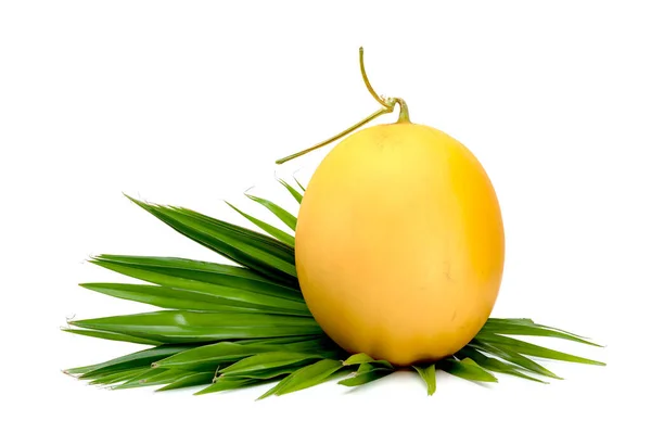 Pomarańczowy Melon Gładka Skóra Liści Izolowanych Białym Tle — Zdjęcie stockowe