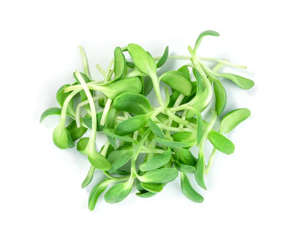 Verse Zonnebloem Sprout Geïsoleerd Witte Achtergrond Groene Bladeren Patroon Salade — Stockfoto
