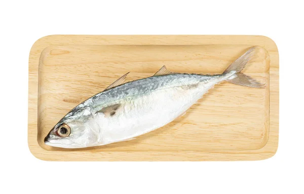 Frische Makrele Fisch Mit Quadratischen Holzschale Isoliert Auf Weißem Hintergrund — Stockfoto