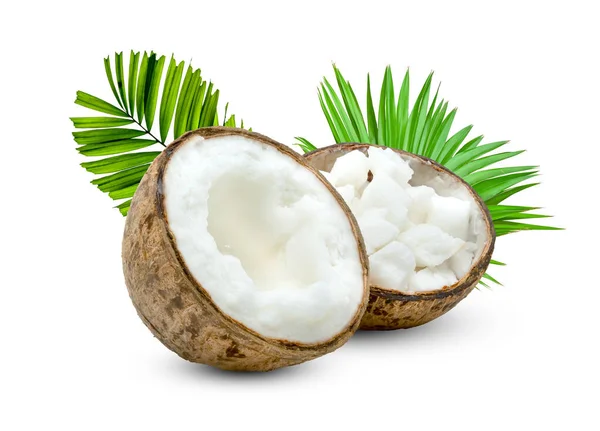 Kokosmjölk Tropiska Frukter Eller Fluffig Kokos Skuren Mitten Med Palmblad — Stockfoto