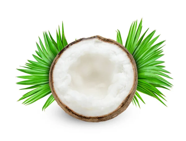 Mleko Kokosowe Owoce Tropikalne Lub Puszyste Orzechy Kokosowe Przecięte Pół — Zdjęcie stockowe