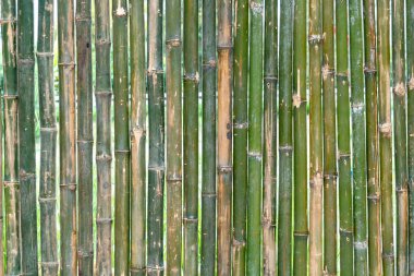 Yeşil ve kahverengi doğal saplardan yapılmış dikey bambu çitlerin yakın çekim dokusu. Bu organik ahşap arka plan çevre dostu, tropikal ya da açık hava bahçe tasarım temaları için mükemmeldir.