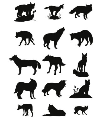 Beyaz arkaplanlı vahşi kurt silueti koleksiyonu