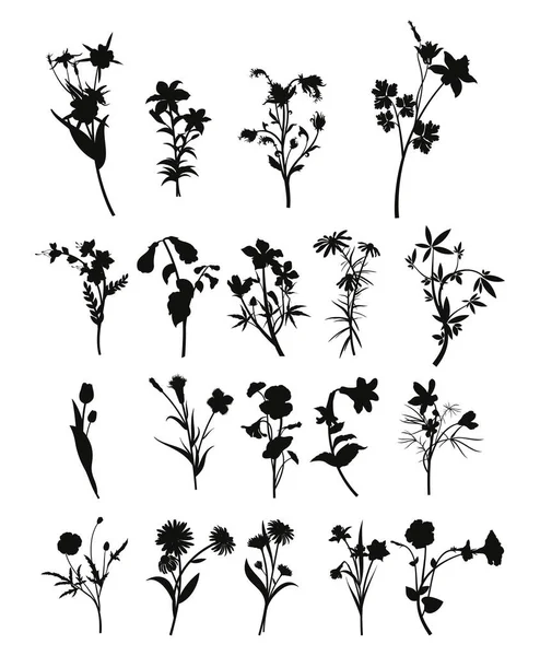 beyaz arkaplanlı çiçek silueti