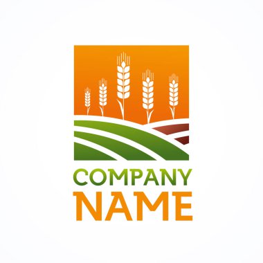 Doğal Buğday Organik Logo Şablon Tasarım Vektörü