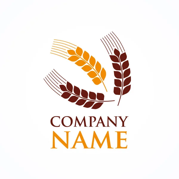 Organic Grain Logo Szablon Projekt Wektor — Wektor stockowy