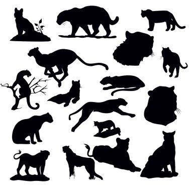 Kaplan Silueti Koleksiyonu