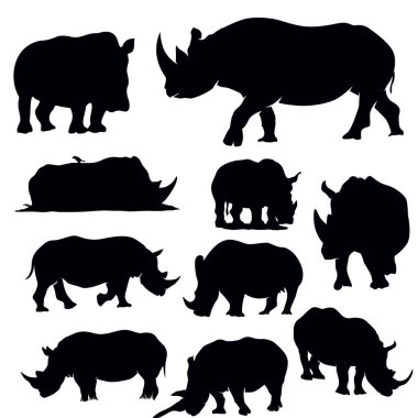 Gergedan Silueti Koleksiyonu