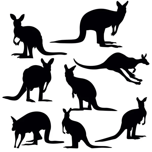 Kolekcja Kangaroo Silhouette Set — Wektor stockowy