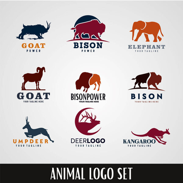 Animal Logo Designs Template Set with White Background