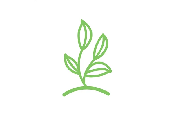 Green Leaf Logo Design Sablon Element Design Vector Design — Stock Vector