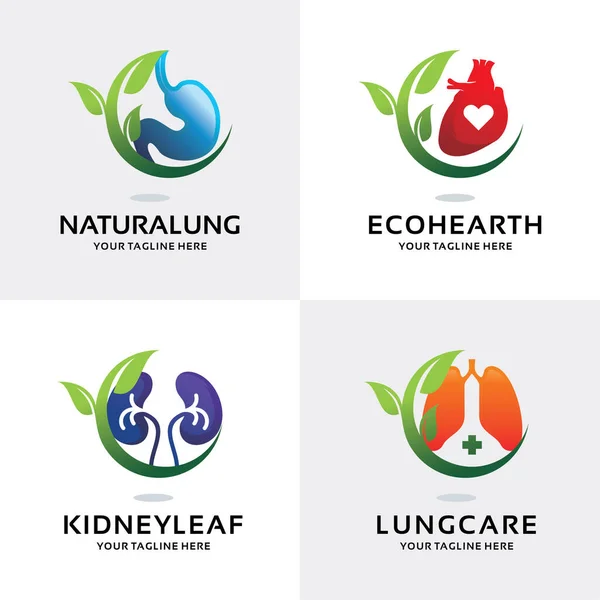Nsan Organı Doğa Logosu Tasarım Şablonu Koleksiyonu — Stok Vektör