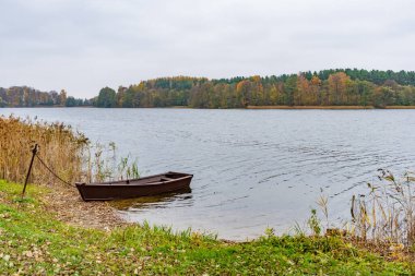 Güzel sonbahar ormanı ve sazlıklar, bir gölün sakin suları, ahşap kayıkla