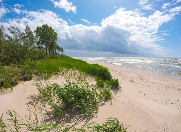 Ruwe Zee Met Golven Bewolkte Lucht Zandstrand Duinen Met Riet — Stockfoto