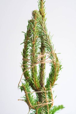 Kolay Noel ağacı geri dönüşümü ya da çöp öğütücü için ipuçları dağınıklık çıkarmadan, bir iple sarılı kuru dallar, dikey