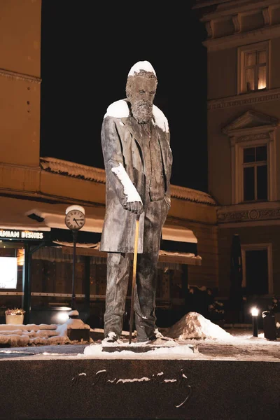 Vilnius Lithuania January 2021 Monument Jonas Basanaviius Activist Proponent Lithuanian — Stock Photo, Image