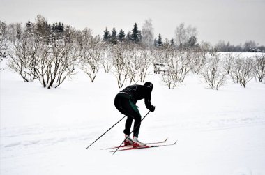 Vilnius, Litvanya - 18 Ocak 2021: Litvanya 'nın güzel kış harikalar diyarında kayak pistinde kayak yapan erkek veya erkek kayakçı, kış, orman, açık hava sporları, sağlıklı yaşam tarzı