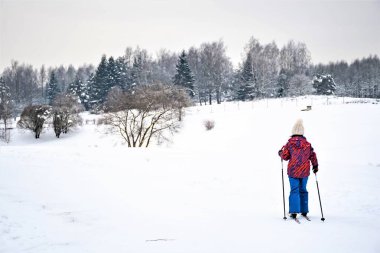 Vilnius, Litvanya - 18 Ocak 2021: Litvanya 'nın güzel kış harikalar diyarı manzarasında kayak yapan çocuk ya da çocuk kayakçı, açık hava sporları, sağlıklı yaşam tarzı