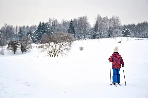 Vilnius, Litvanya - 18 Ocak 2021: Litvanya 'nın güzel kış harikalar diyarı manzarasında kayak yapan çocuk ya da çocuk kayakçı, açık hava sporları, sağlıklı yaşam tarzı