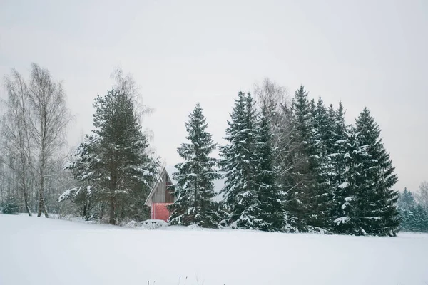 Underbart Vitt Vinterlandskap Landet Med Snötäckta Träd Efter Stort Snöfall — Stockfoto