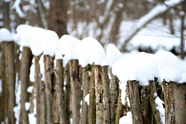 大きな雪の後に雪に覆われた木製の古い柵 防衛や門 閉じる — ストック写真