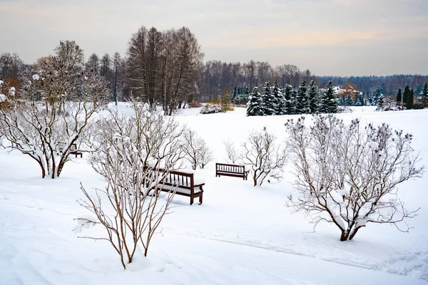大きな雪の後に雪に覆われた木々やベンチで素晴らしい白い冬の風景 — ストック写真