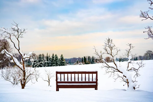 Prachtig Wit Winterlandschap Met Bomen Bank Bedekt Met Sneeuw Grote — Stockfoto