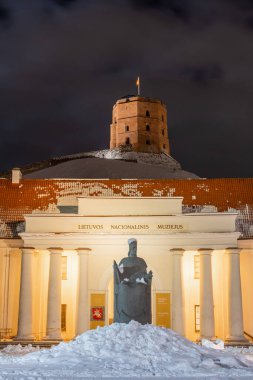 Ulusal Litvanya Müzesi ve Gediminas heykeli ve kulesi kışın karlı, dikey