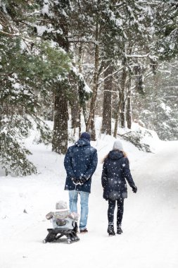 Çocuklu ya da çocuklu bir aile kışın ormanda kızakla ve beyaz kış manzarasıyla yürüyor.