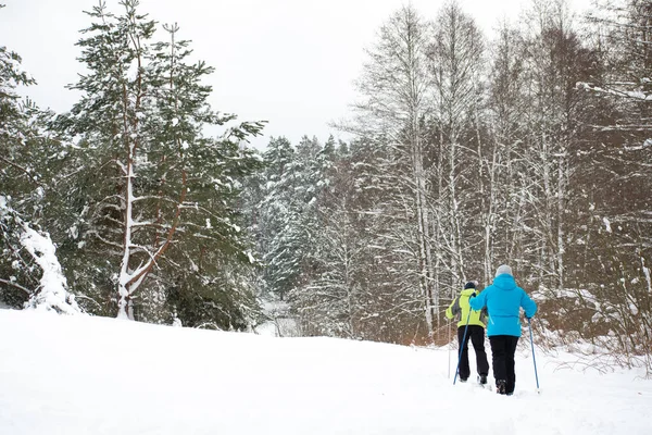 冬のリトアニアの美しい冬の不思議の国の風景 アウトドアスポーツ 健康的なライフスタイルのトラックで国のスキーを横断する人々やスキーヤー — ストック写真