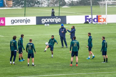 Vilnius, Litvanya - 30 Mart 2021: Litvanya - İtalya, Katar 2022 Dünya Kupası ön eleme karşılaşması öncesinde İtalya futbol takımı