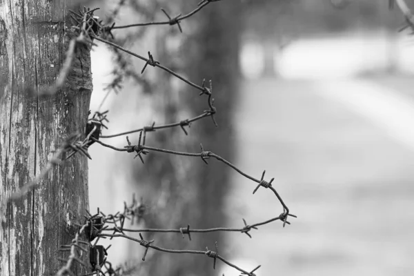 Close Rusty Barbed Wire Fence Surrounding Concentration Extermination Camp Focus — Stock Photo, Image