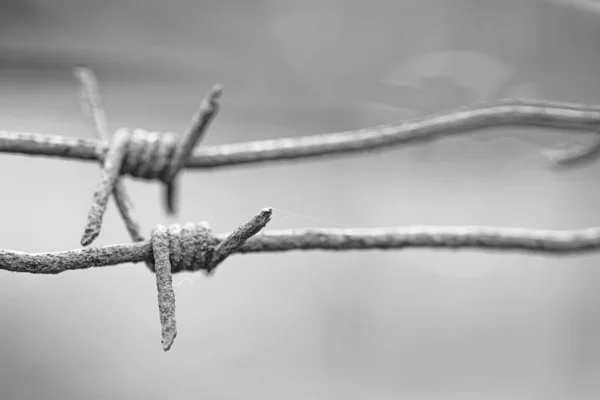 环绕集中营和灭绝营的生锈铁丝网围栏的特写 背景为黑白相间 — 图库照片