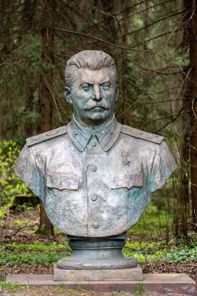 Druskininkai Lithuania May 2021 Stalin Bronze Sculpture Bust Russian Revolutionary — Stock Photo, Image