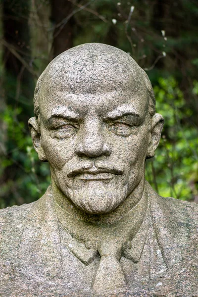 Druskininkai Lithuania May 2021 Lenin Marble Sculpture Bust Russian Revolutionary — Stock Photo, Image