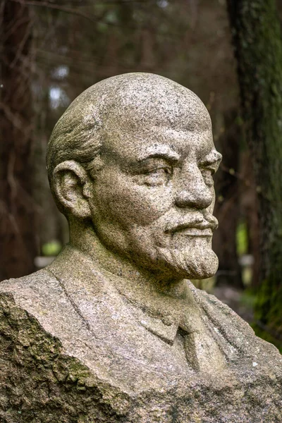 Druskininkai Lithuania May 2021 Lenin Marble Sculpture Bust Russian Revolutionary — Stock Photo, Image