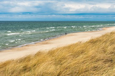 Dalgalı güzel mavi deniz ve kumlu kumlu sahil. Sazlıklar ve kumullar arasında kuru çimenler. Yaz ve tatil konsepti.