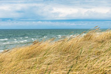 Dalgalı güzel mavi deniz ve kumlu kumlu kumlu kumlar ve kumullar arasında kuru çimenler, yaz ve tatil konseptinde seyahat, kumdaki ayak sesleri