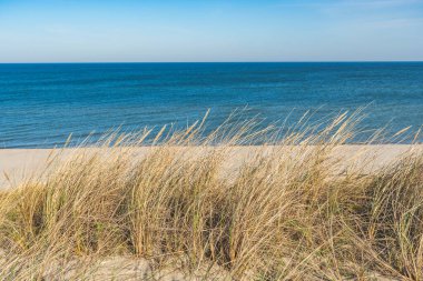 Dalgalı güzel mavi deniz ve kumlu kumlu kumlu kumlar ve kumullar arasında kuru çimenler, yaz ve tatil konseptinde seyahat, kumdaki ayak sesleri
