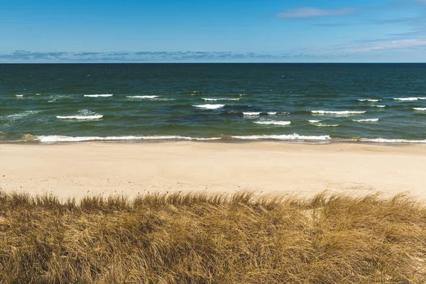 Mooie Rustige Blauwe Zee Met Golven Zandstrand Met Riet Droog — Stockfoto