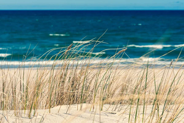 Mooie Rustige Blauwe Zee Met Golven Zandstrand Met Riet Droog — Stockfoto